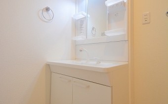シャンプードレッサー