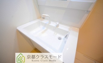 シャンプードレッサー