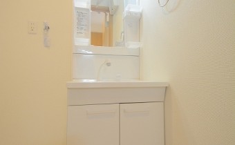 シャンプードレッサー