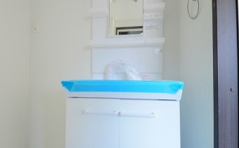 シャンプードレッサー