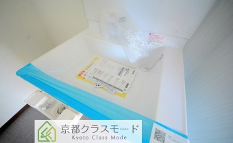 シャンプードレッサー