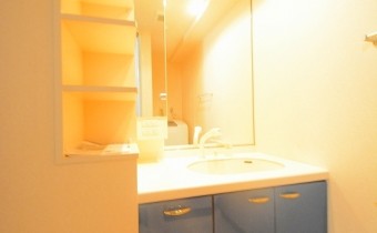 シャンプードレッサー