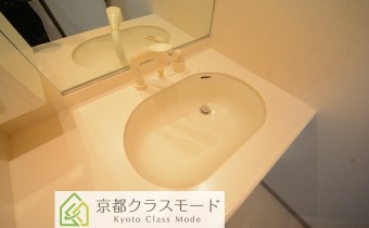 シャンプードレッサー