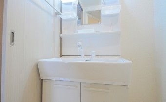 シャンプードレッサー