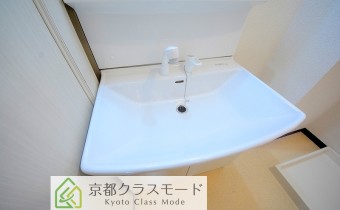 シャンプードレッサー