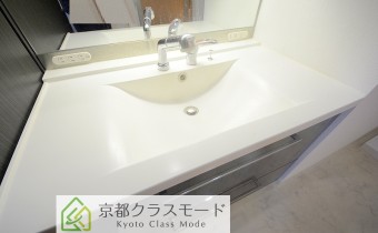 シャンプードレッサー