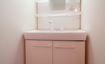 シャンプードレッサー