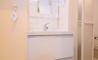 シャンプードレッサー