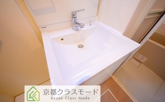 シャンプードレッサー