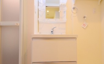 シャンプードレッサー