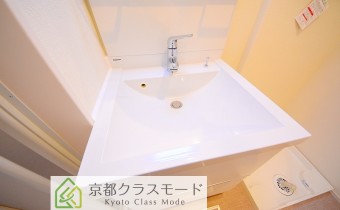 シャンプードレッサー