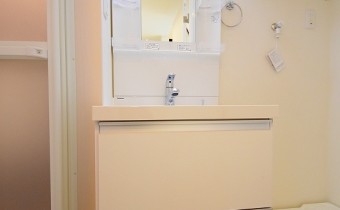 シャンプードレッサー