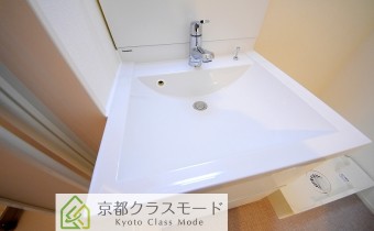 シャンプードレッサー