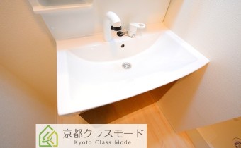 シャンプードレッサー