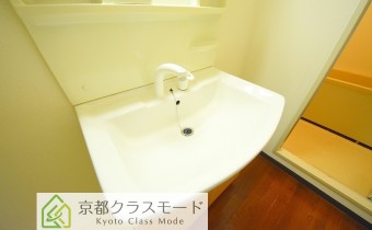 シャンプードレッサー