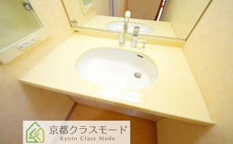 シャンプードレッサー