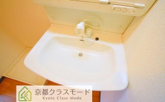 シャンプードレッサー