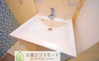 シャンプードレッサー