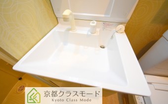 シャンプードレッサー