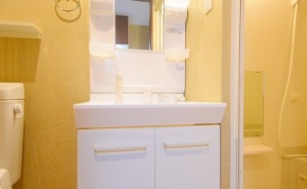 シャンプードレッサー
