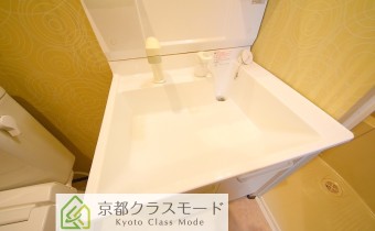 シャンプードレッサー