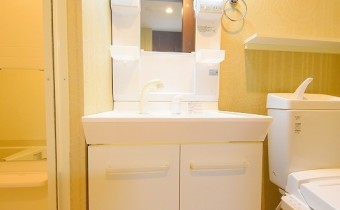 シャンプードレッサー