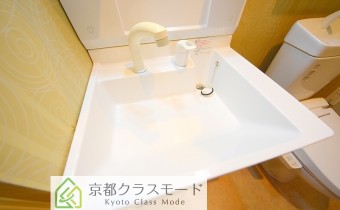 シャンプードレッサー