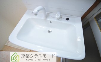 シャンプードレッサー