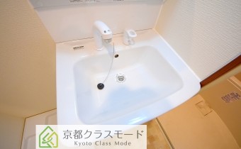 シャンプードレッサー