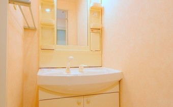 シャンプードレッサー