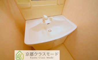 シャンプードレッサー