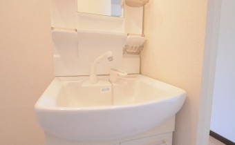 シャンプードレッサー