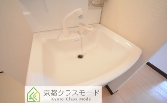 シャンプードレッサー