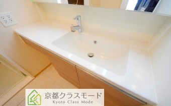 シャンプードレッサー