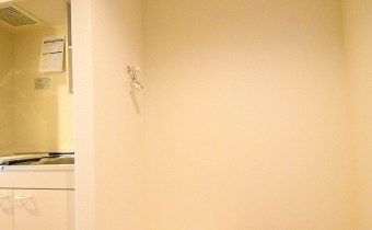 室内洗濯機置場※同マンション反転タイプの写真です