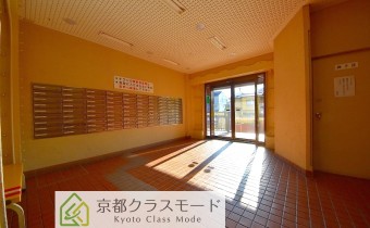 ホール