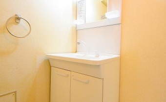 シャンプードレッサー