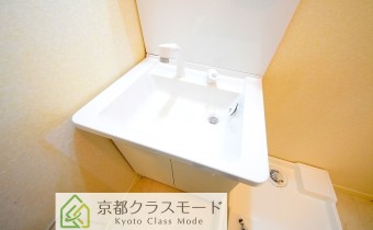 シャンプードレッサー