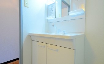 シャンプードレッサー