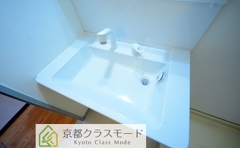 シャンプードレッサー