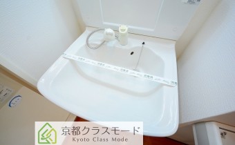 シャンプードレッサー