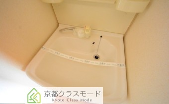 シャンプードレッサー