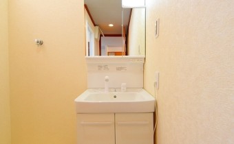 シャンプードレッサー