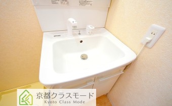 シャンプードレッサー