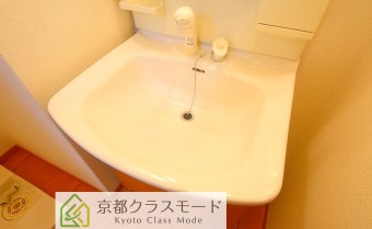 シャンプードレッサー
