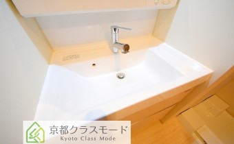 シャンプードレッサー