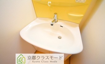 シャンプードレッサー