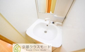 シャンプードレッサー