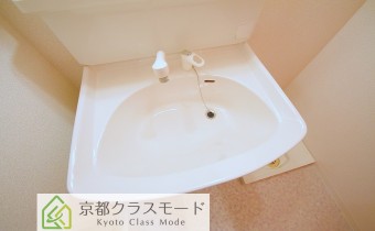 シャンプードレッサー