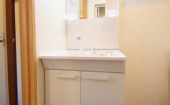 シャンプードレッサー